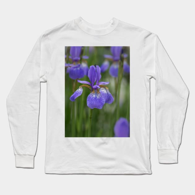 Beauty of an Iris Long Sleeve T-Shirt by Debra Martz